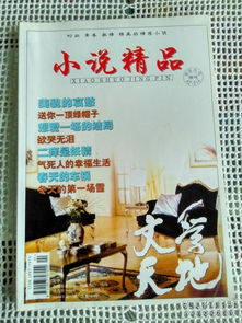 文学天地 小说精品 2004年第12期 美貌的哀愁
