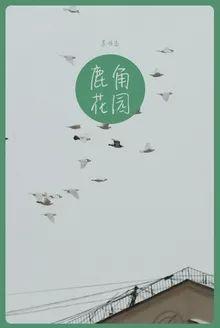 书单 青春里的最好的我们 万本小说限时免费中