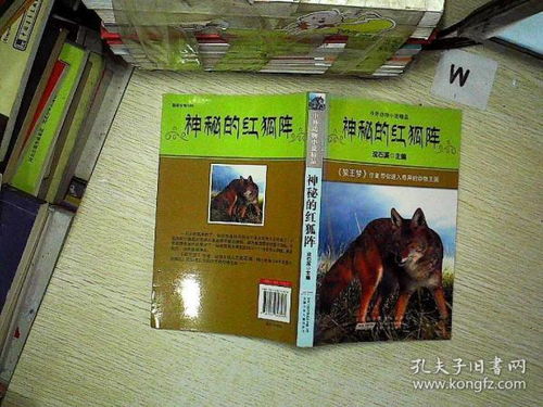 中外动物小说精品 神秘的红狐阵 沈石溪 安徽少年儿童出版社